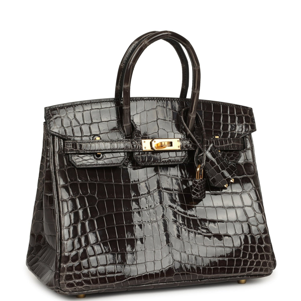 Hermes Birkin 25 Graphite Shiny Niloticus Crocodile Gold Hardware