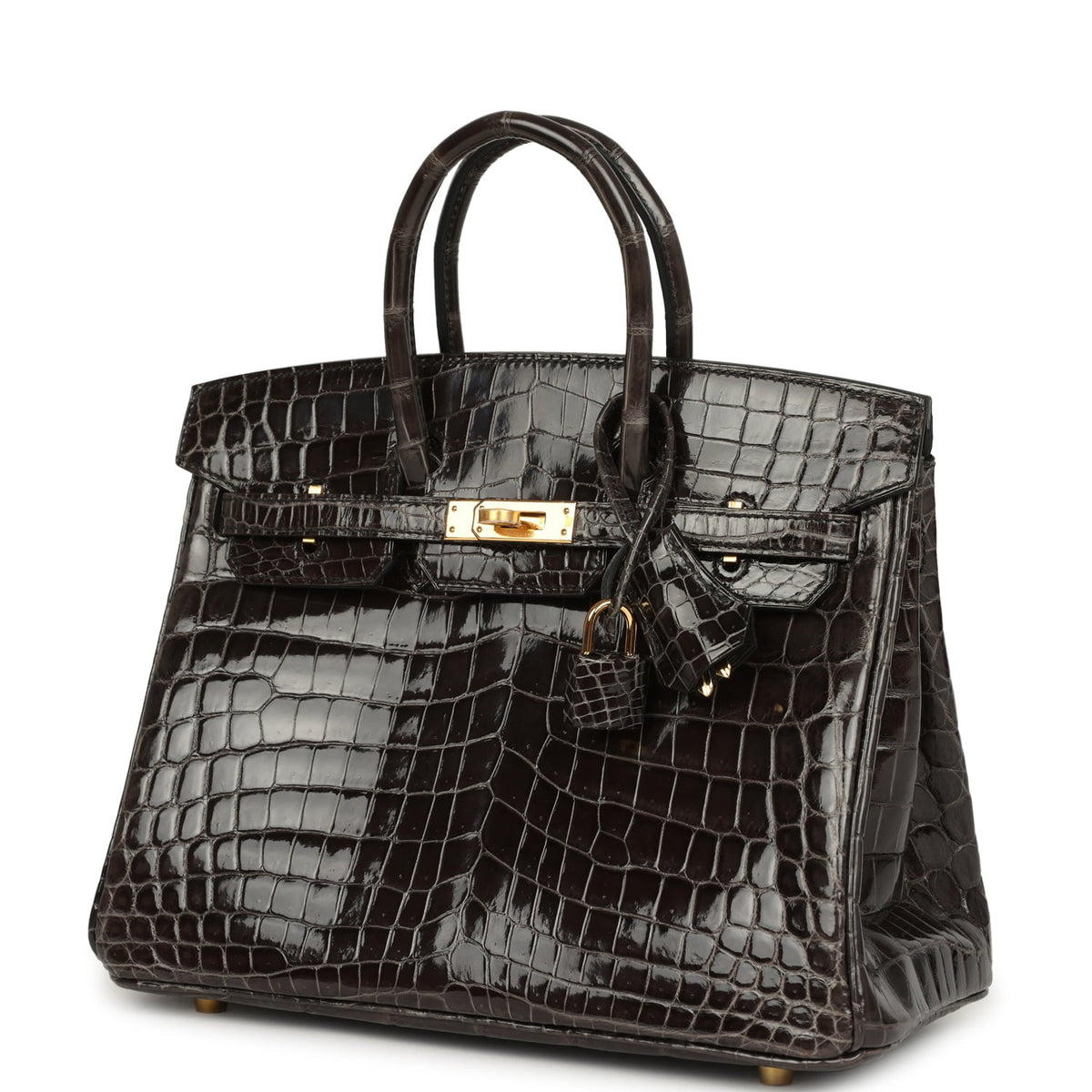 Hermes Birkin 25 Graphite Shiny Niloticus Crocodile Gold Hardware