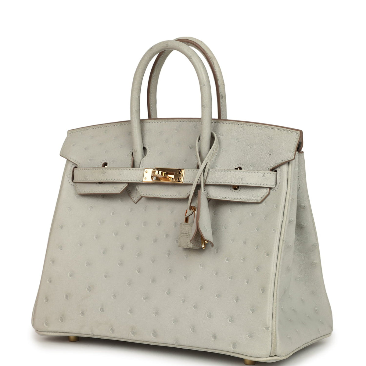 Hermes Birkin 25 Gris Perle Ostrich Gold Hardware
