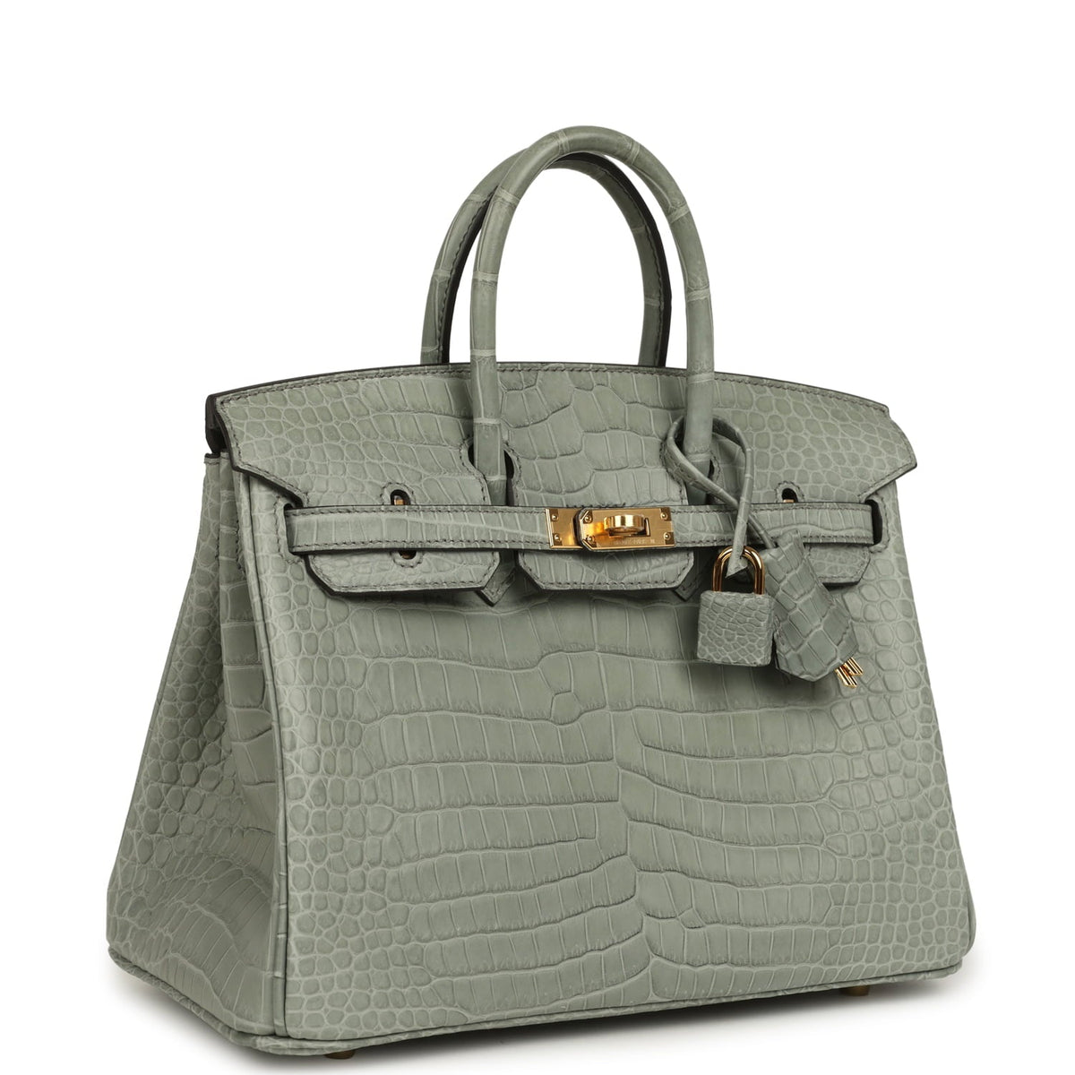 Hermes Birkin 25 Gris Ciment Matte Porosus Crocodile Gold Hardware
