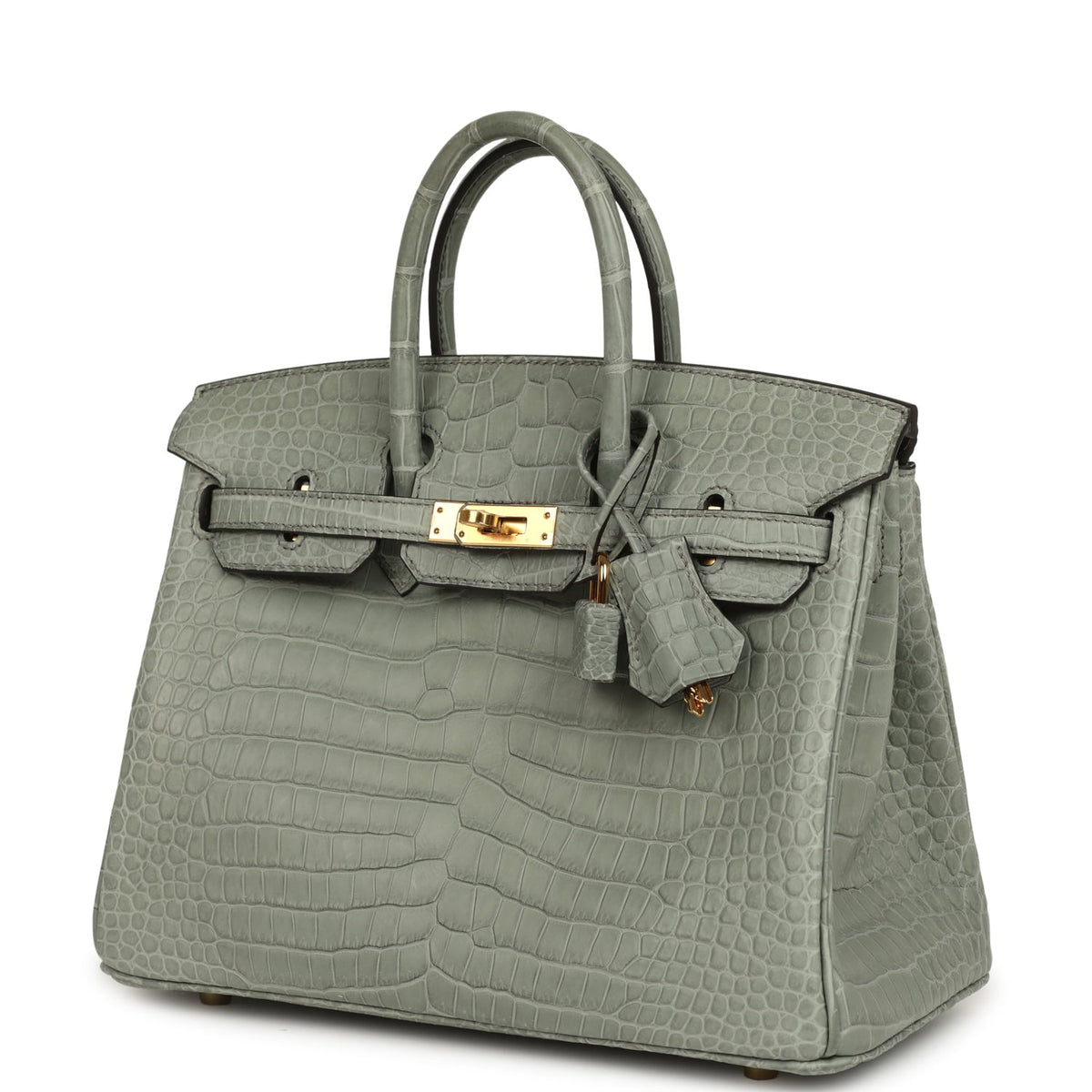 Hermes Birkin 25 Gris Ciment Matte Porosus Crocodile Gold Hardware