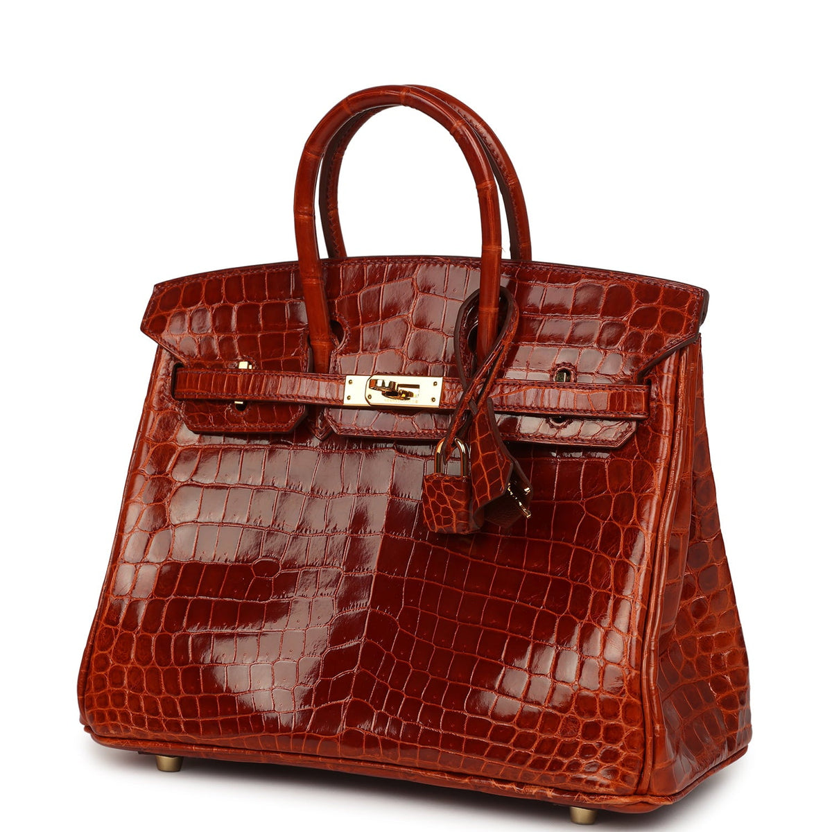 Pre-owned Hermes Birkin 25 Etrusque Shiny Niloticus Crocodile Gold Hardware