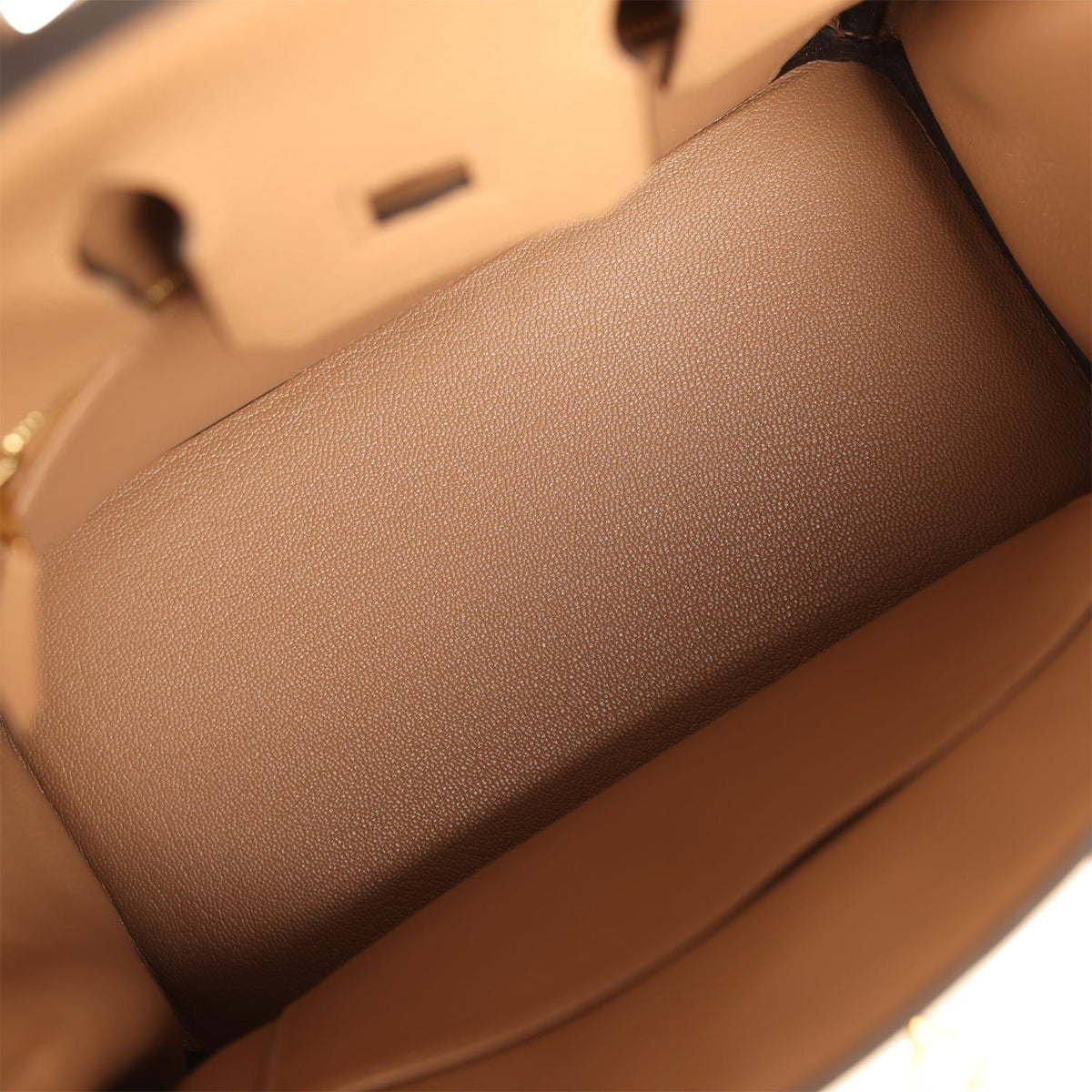 Hermes Birkin 25 Chai Togo Gold Hardware