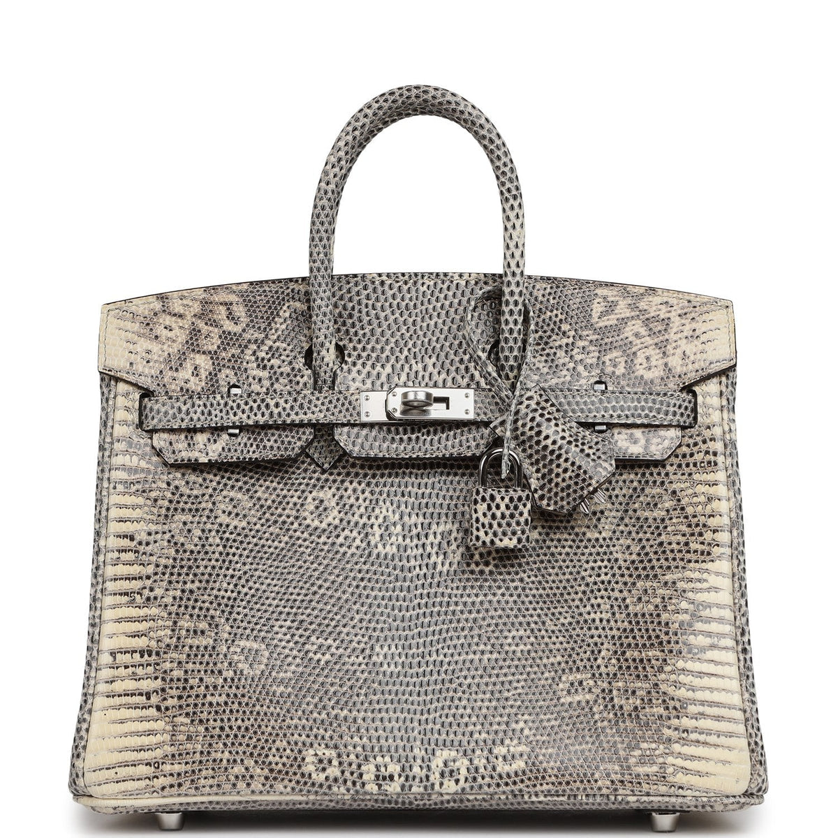 Hermes Birkin 25 Ombre Shiny Varanus Salvator Lizard Palladium Hardware