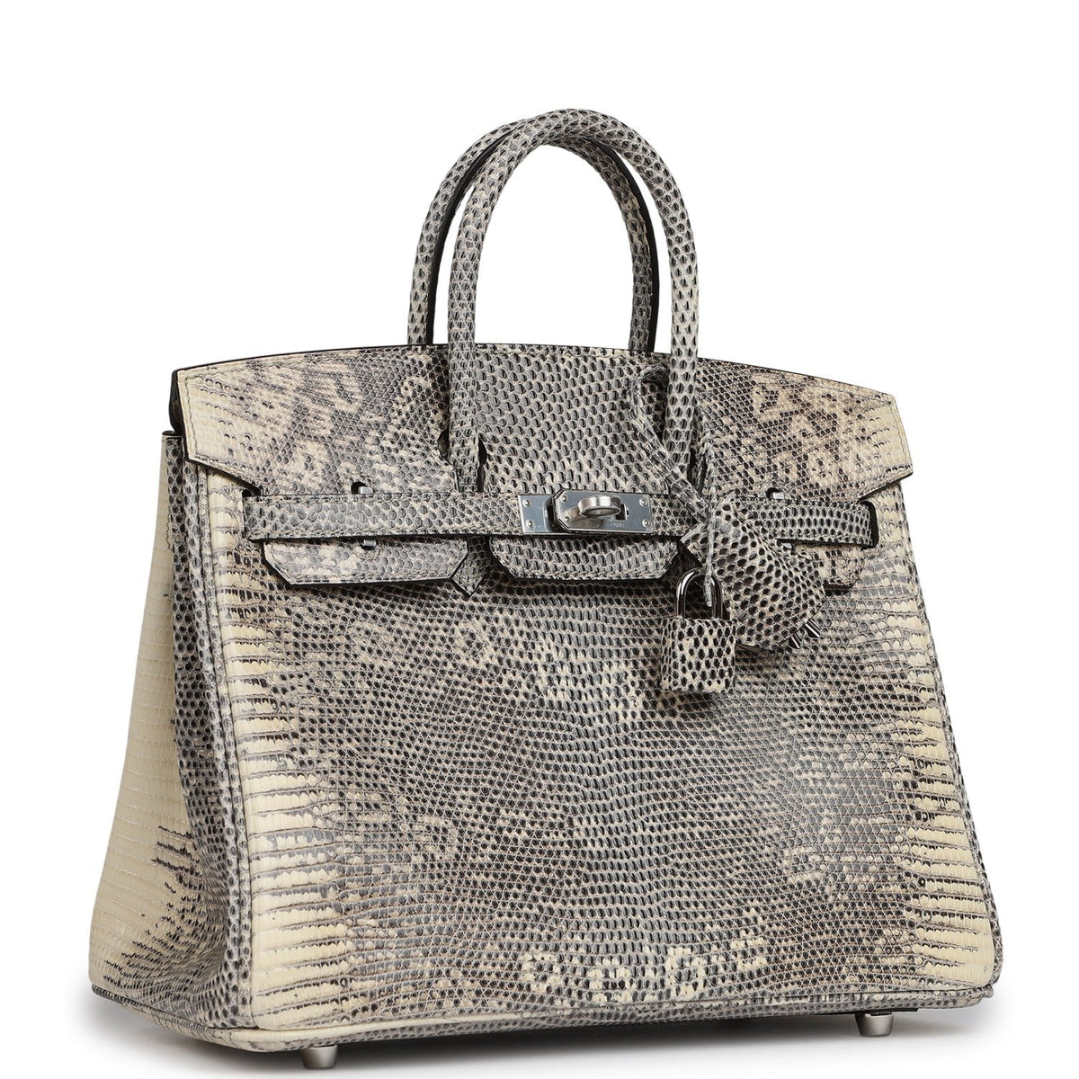 Hermes Birkin 25 Ombre Shiny Varanus Salvator Lizard Palladium Hardware