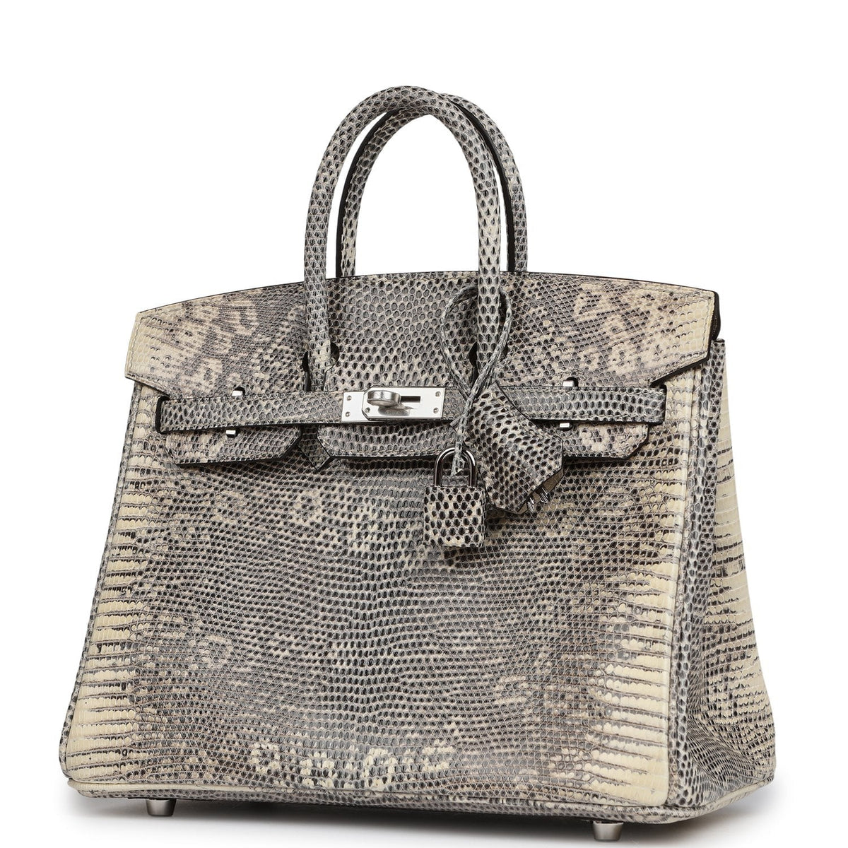 Hermes Birkin 25 Ombre Shiny Varanus Salvator Lizard Palladium Hardware
