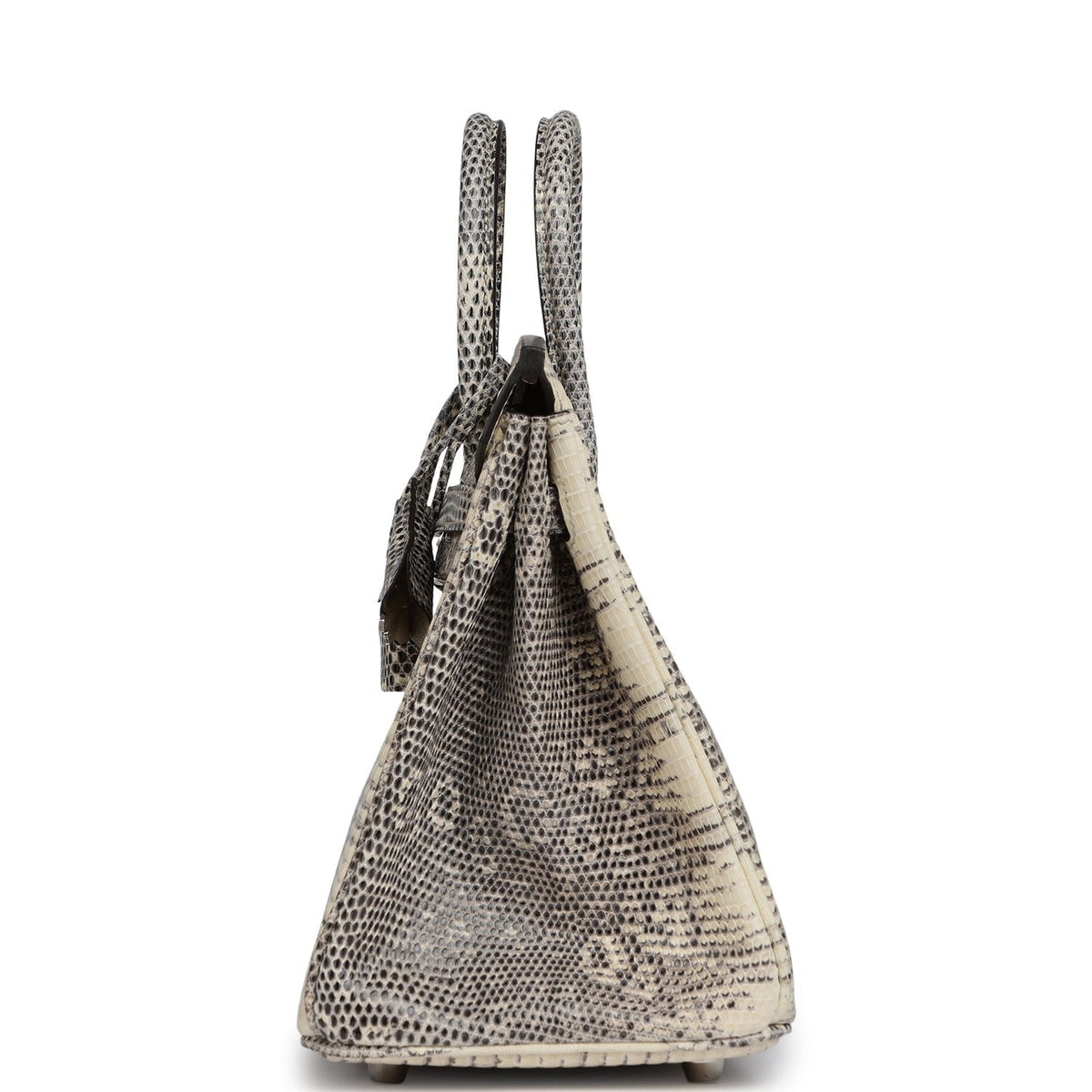 Hermes Birkin 25 Ombre Shiny Varanus Salvator Lizard Palladium Hardware