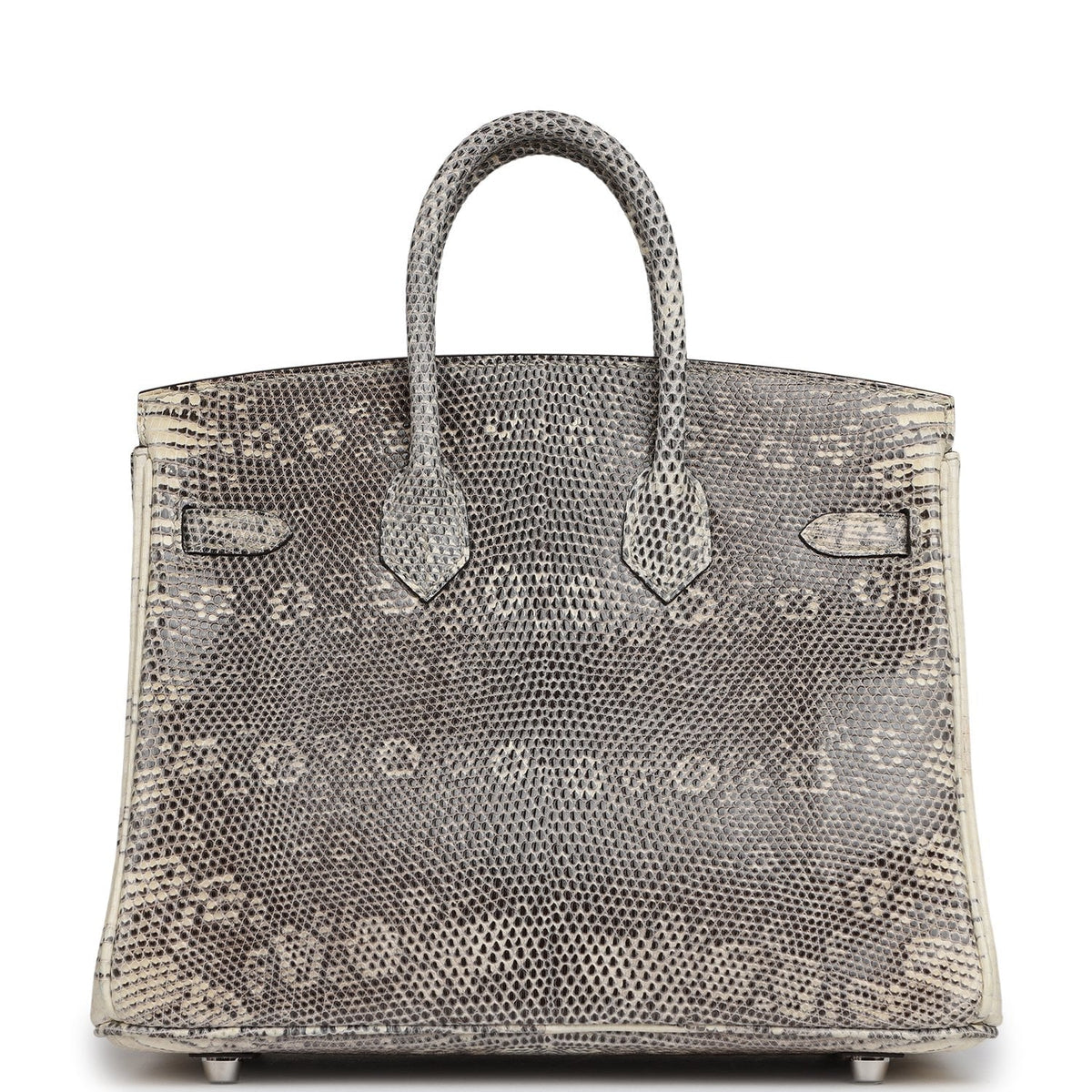 Hermes Birkin 25 Ombre Shiny Varanus Salvator Lizard Palladium Hardware