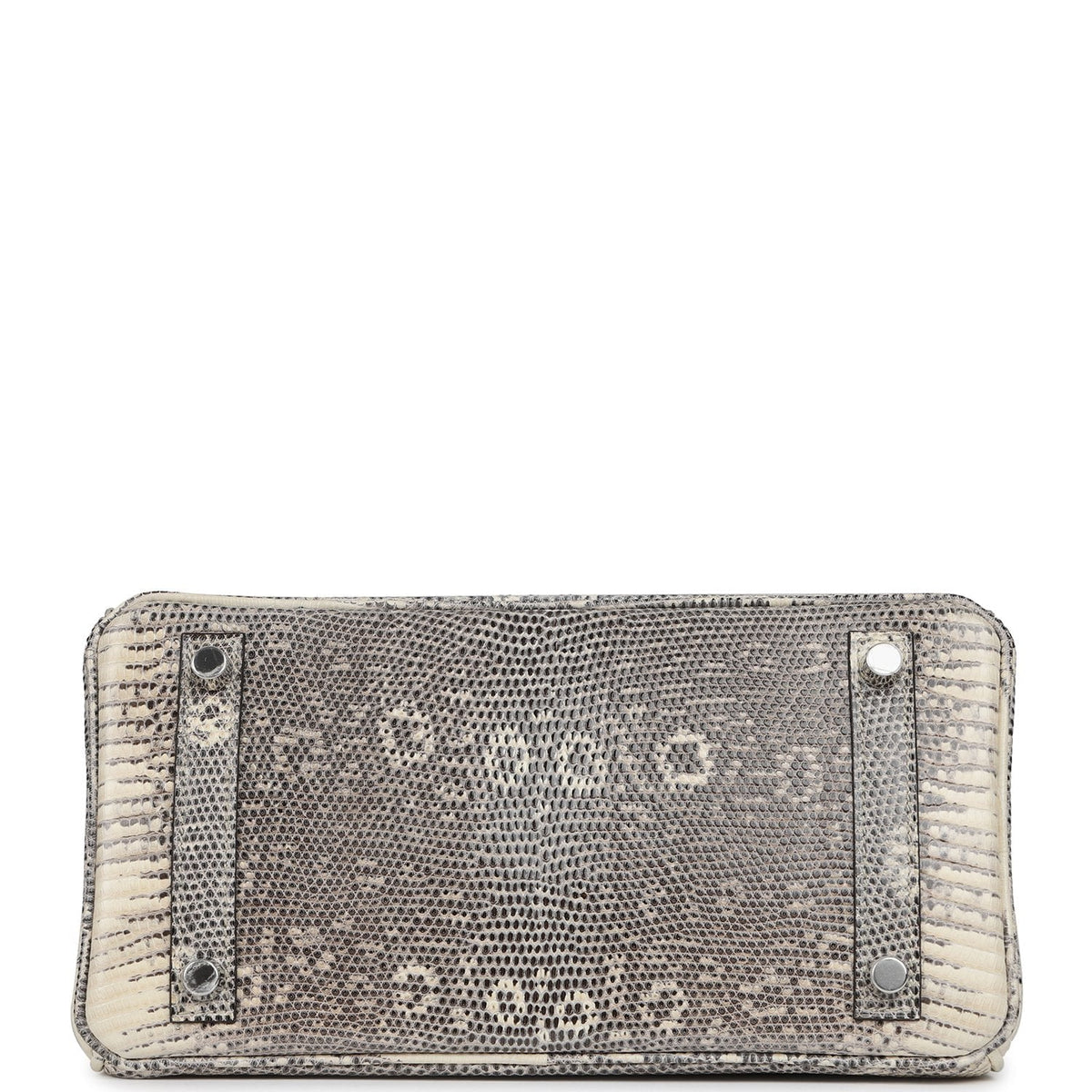 Hermes Birkin 25 Ombre Shiny Varanus Salvator Lizard Palladium Hardware
