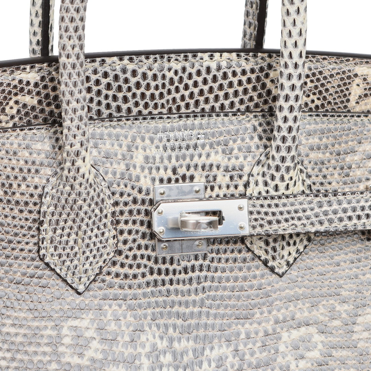 Hermes Birkin 25 Ombre Shiny Varanus Salvator Lizard Palladium Hardware