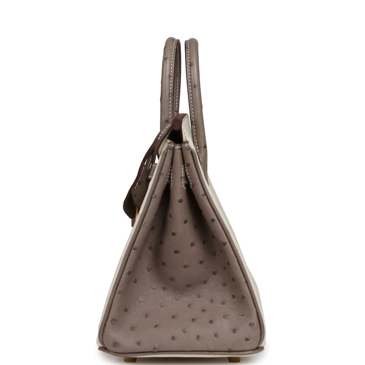 Hermes Special Order (HSS) Birkin 25 Beton, Gris Tourterelle Ostrich Brushed Gold Hardware