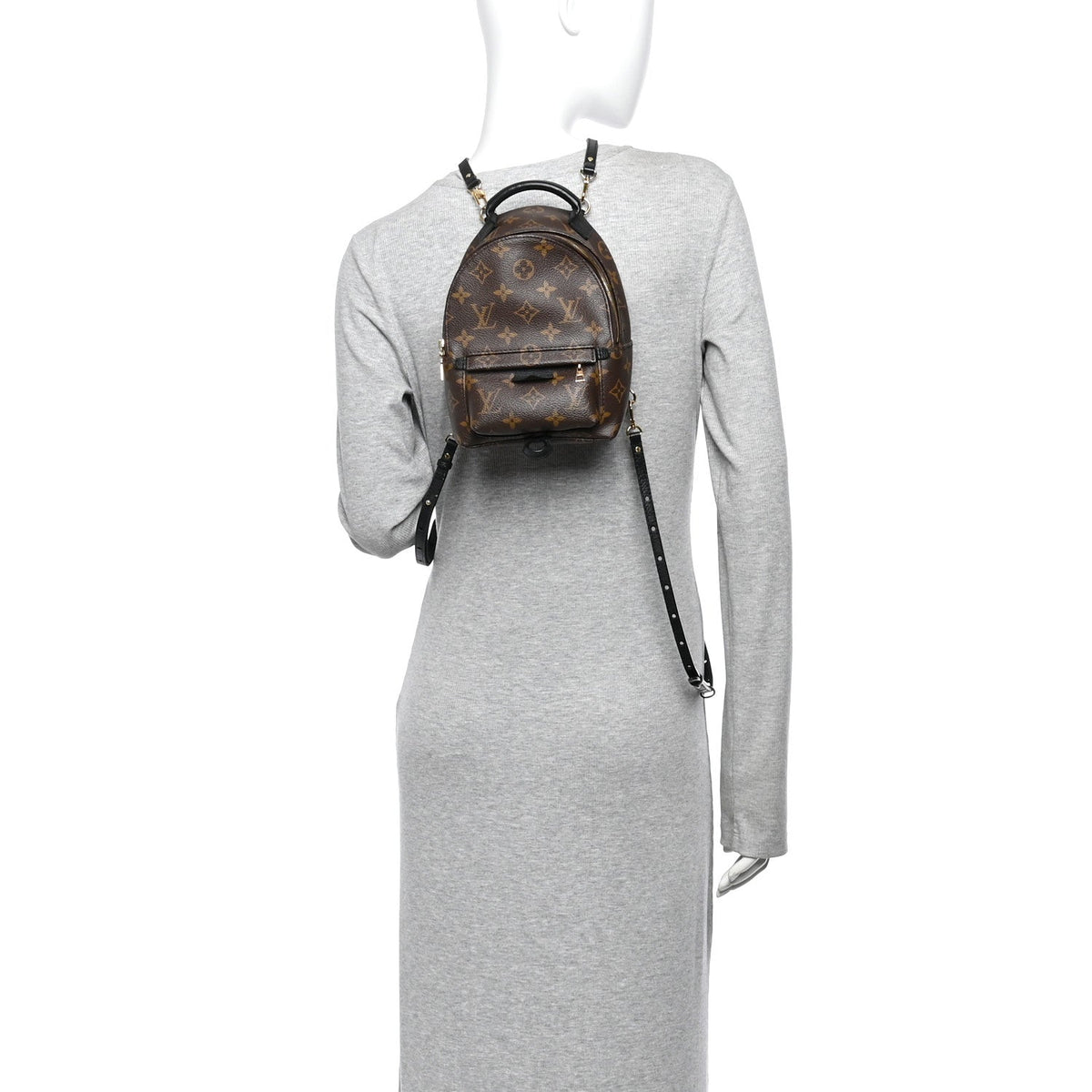 Monogram Palm Springs Backpack Mini