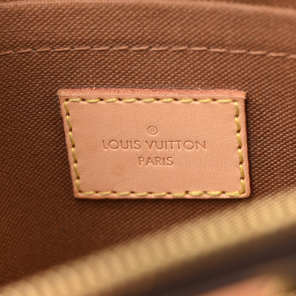 Monogram Multi Pochette Accessories