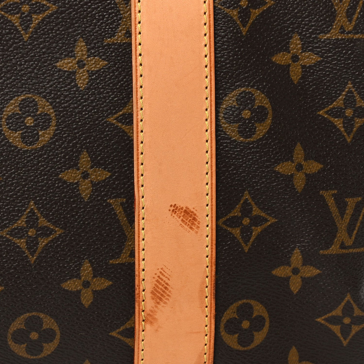 Monogram Carryall