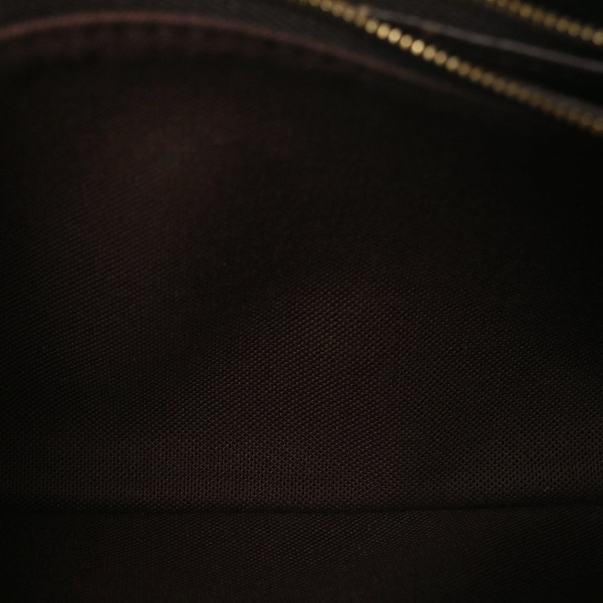 Monogram Liv Pochette