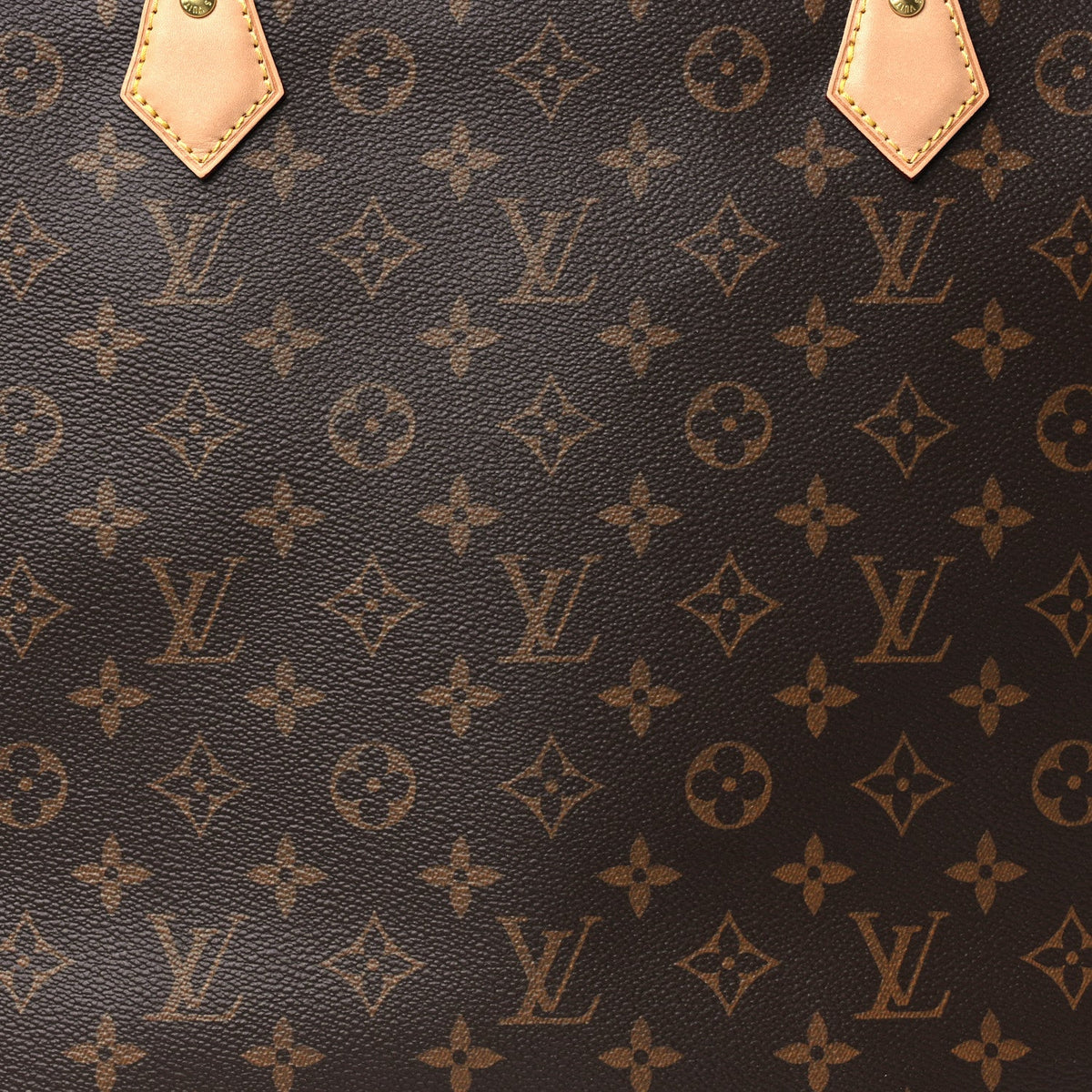 Monogram All-In MM