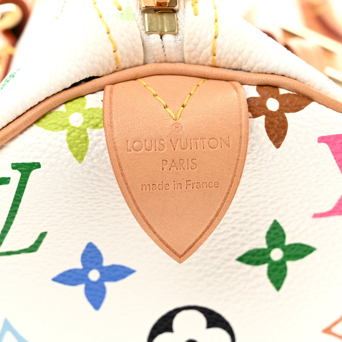 Monogram Multicolor Speedy 30 White