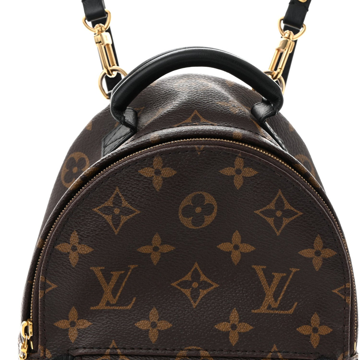 Monogram My World Tour Palm Springs Backpack Mini