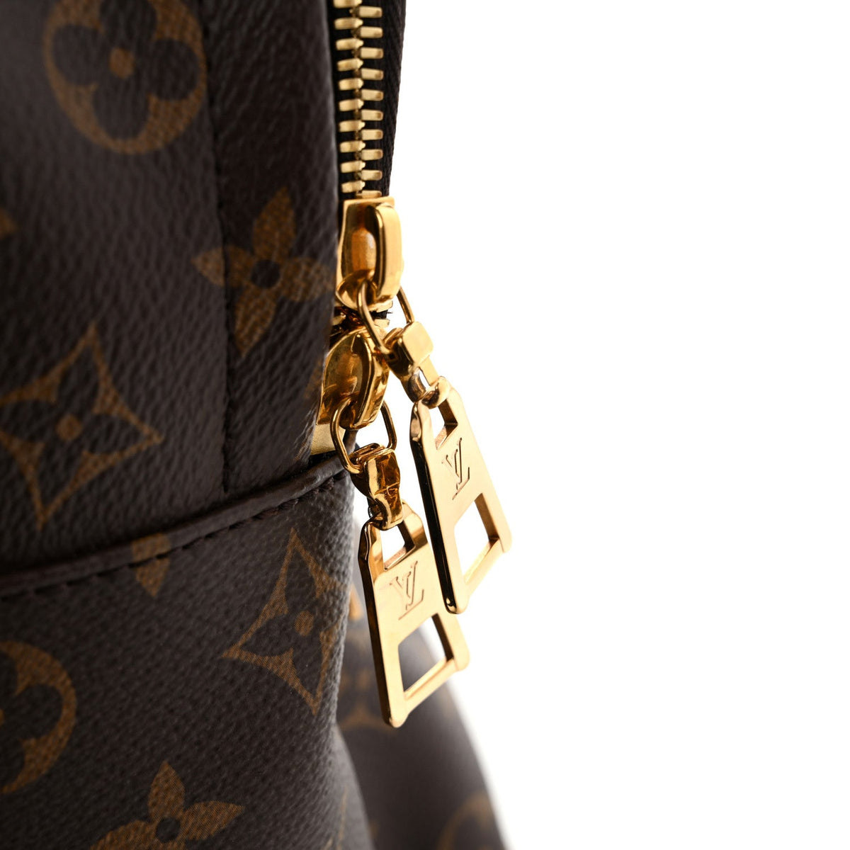 Monogram Palm Springs Backpack PM