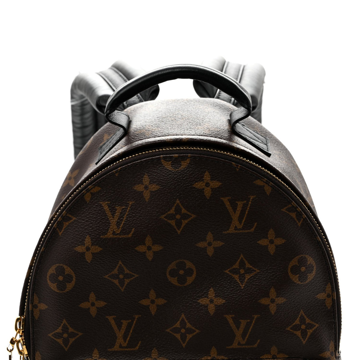 Monogram Palm Springs Backpack PM