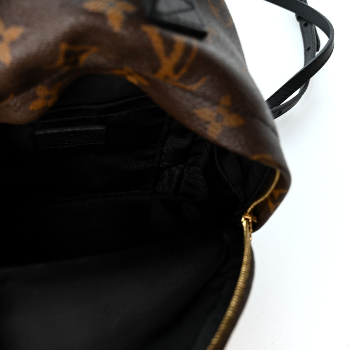 Monogram Palm Springs Backpack Mini