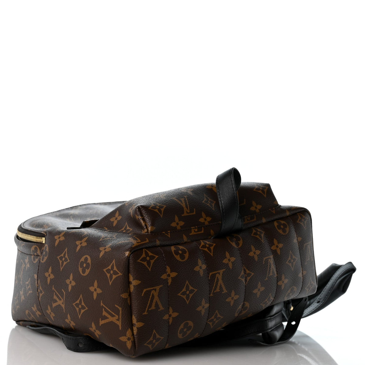 Monogram Palm Springs Backpack MM