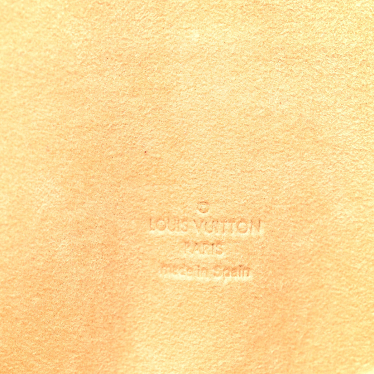 Monogram Pochette Twin PM