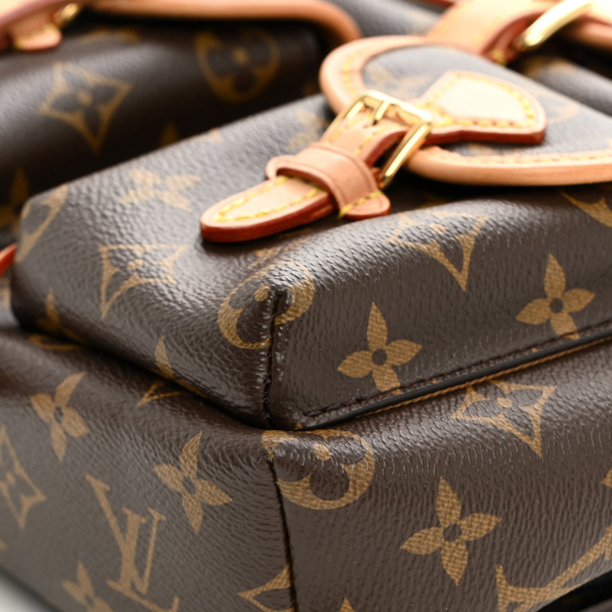 Monogram Excursion PM Backpack
