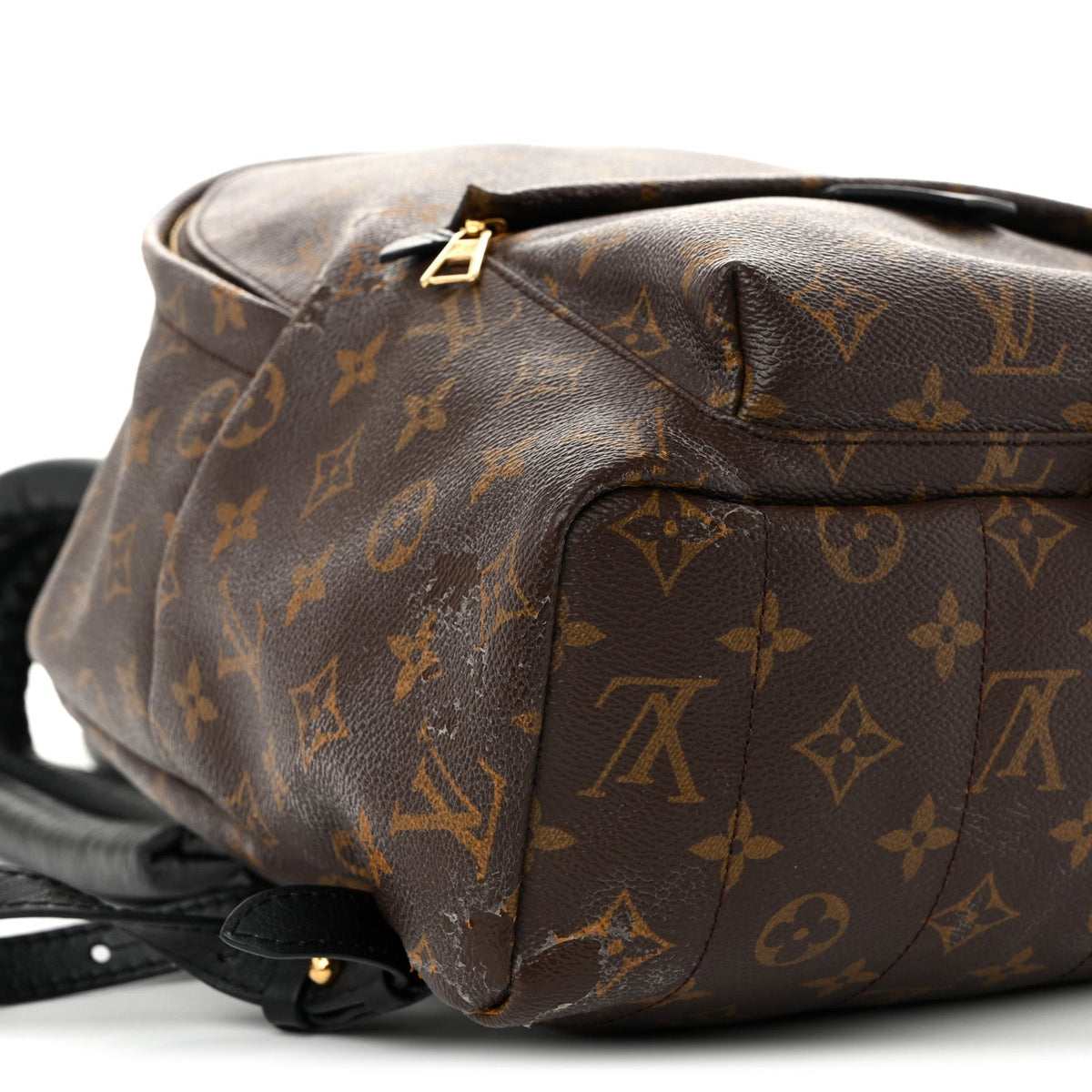 Monogram Palm Springs Backpack MM