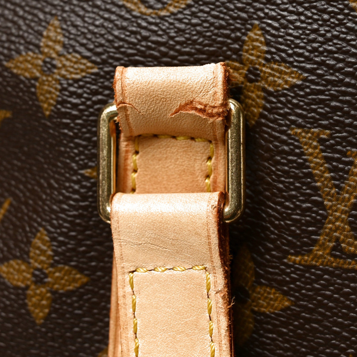 Monogram Cabas Mezzo