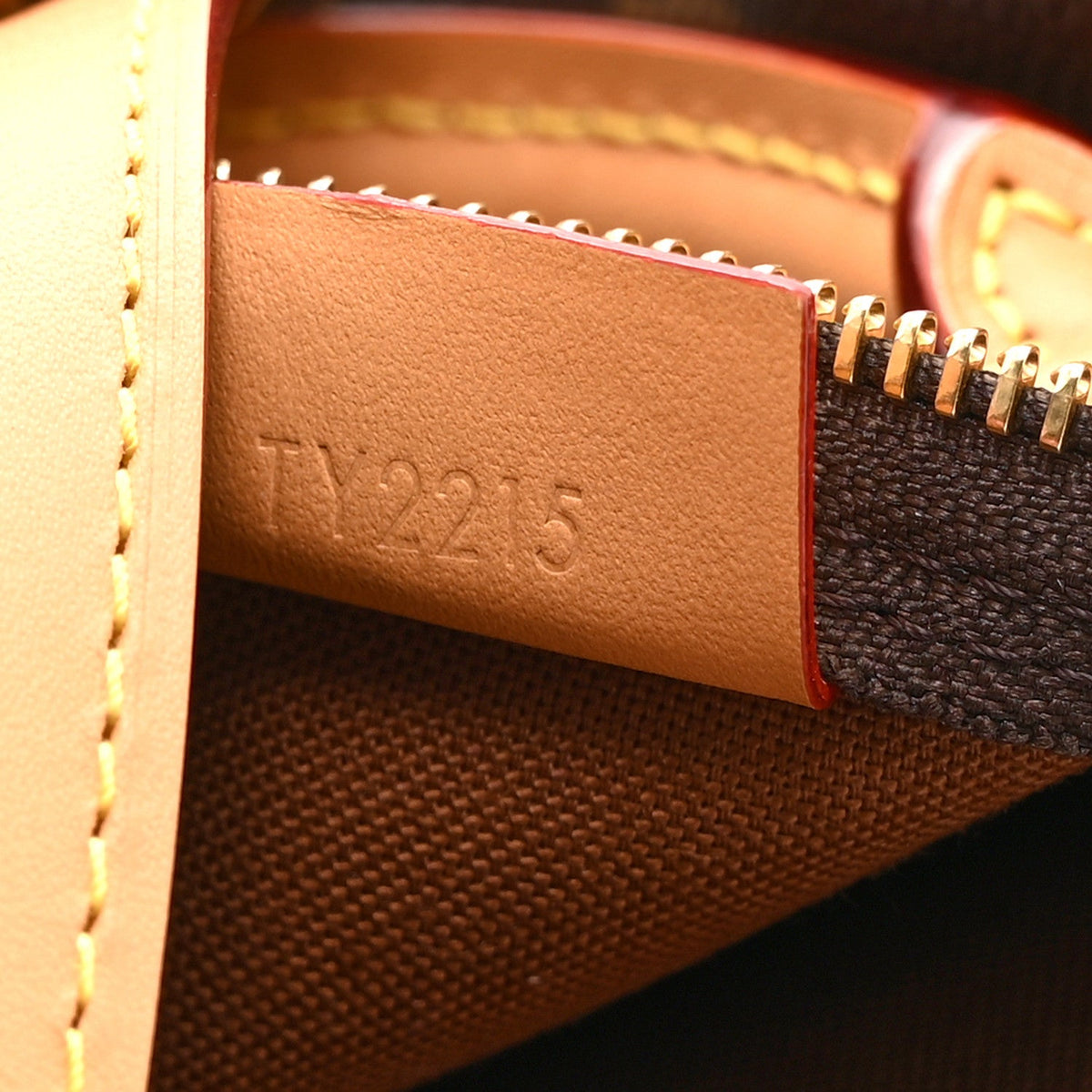 Monogram Nano Speedy Bandouliere
