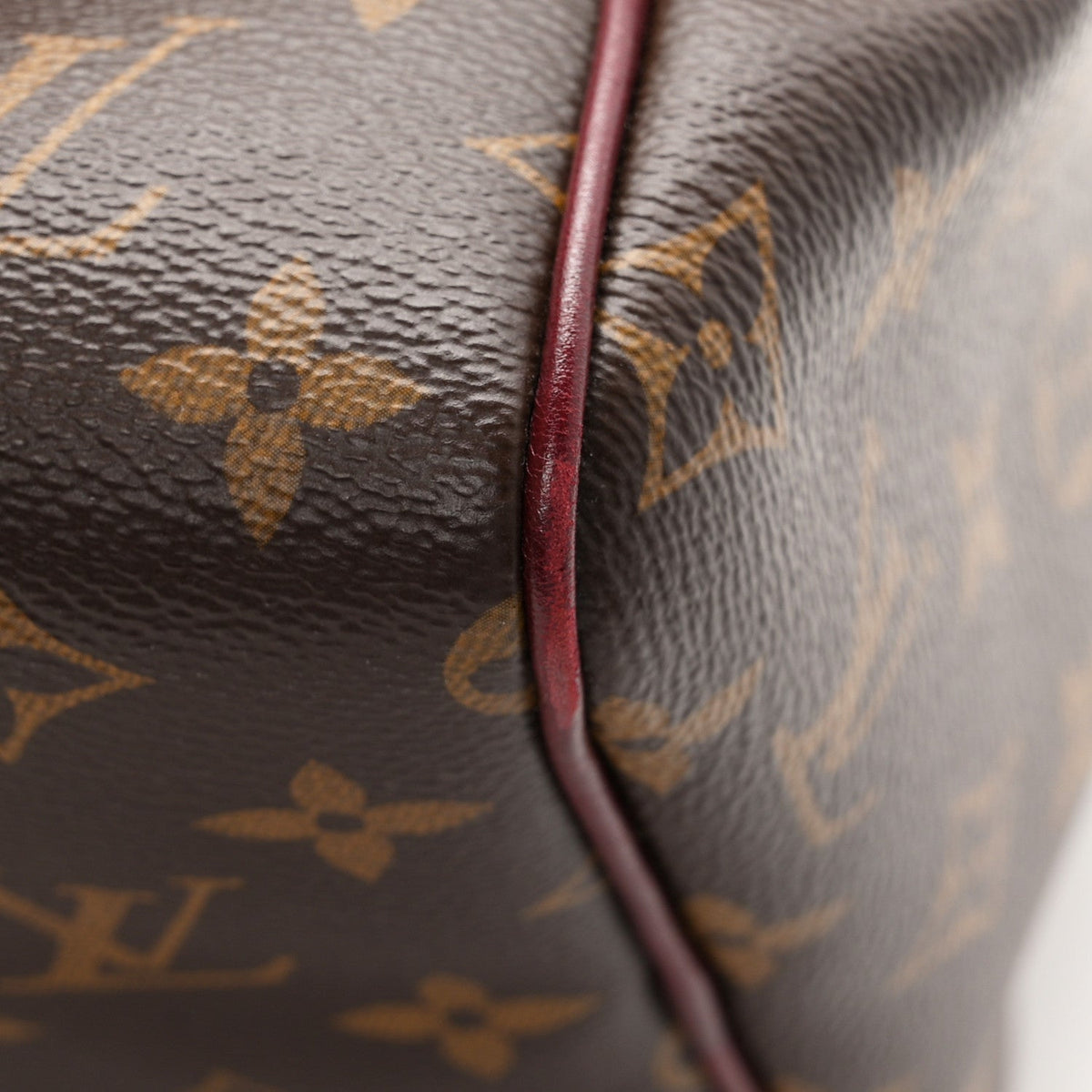 Monogram Speedy Soft 30 Celebration