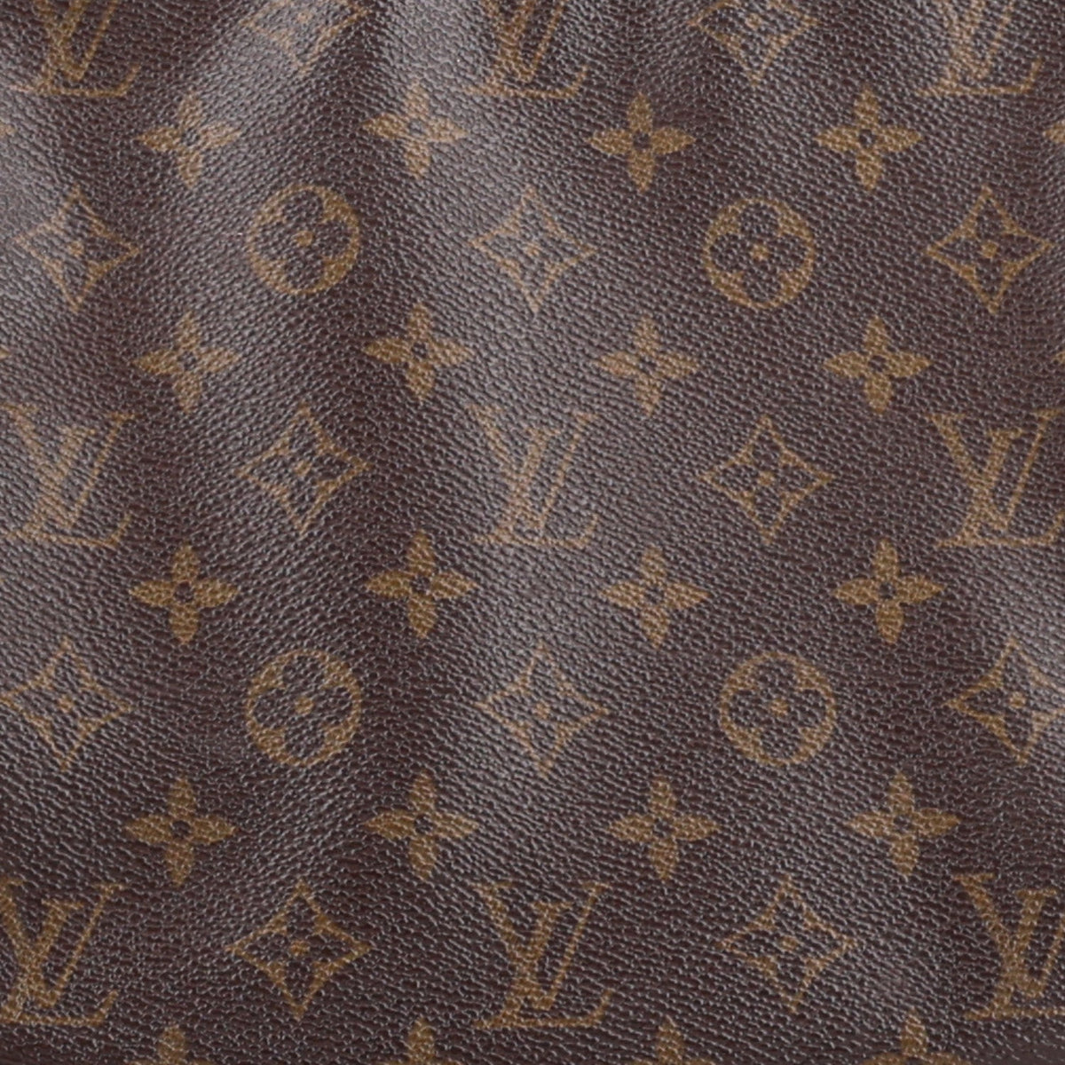 Monogram Looping MM