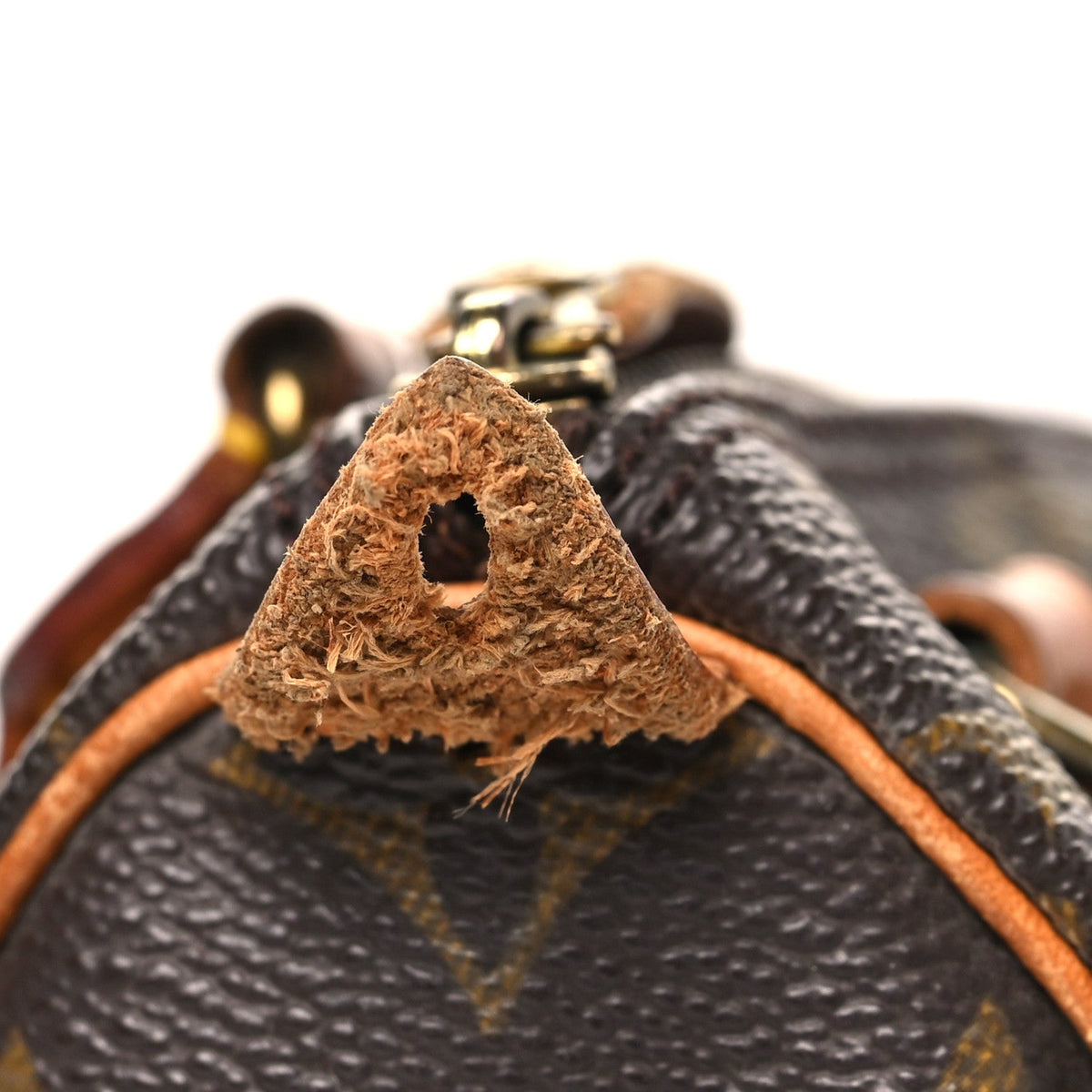 Monogram Mini Sac HL Speedy