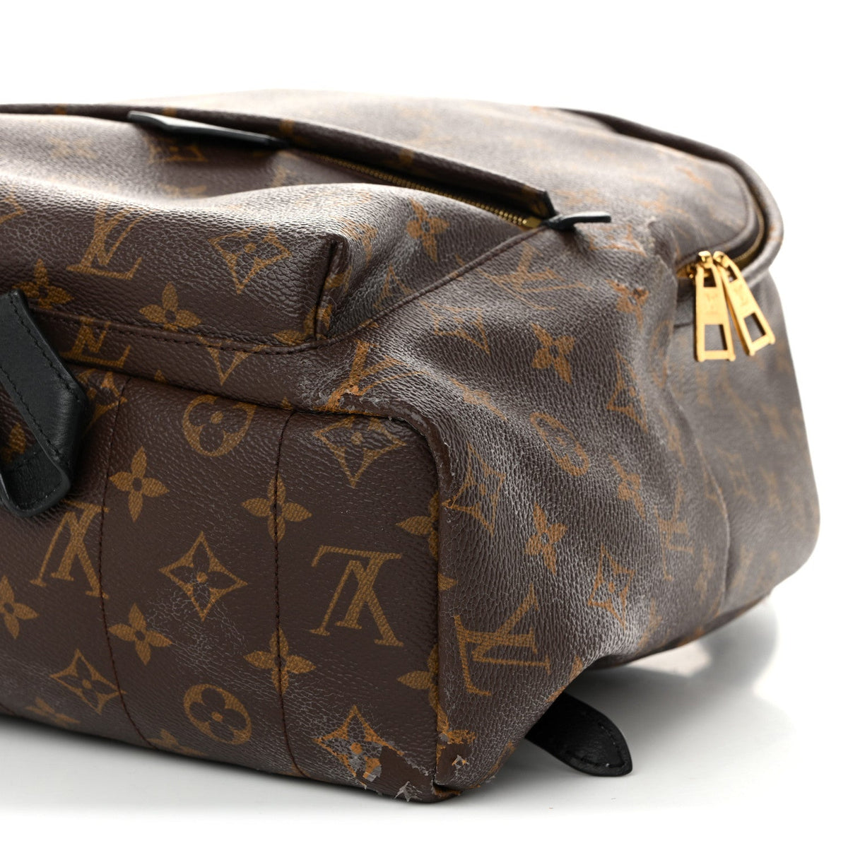 Monogram Palm Springs Backpack MM