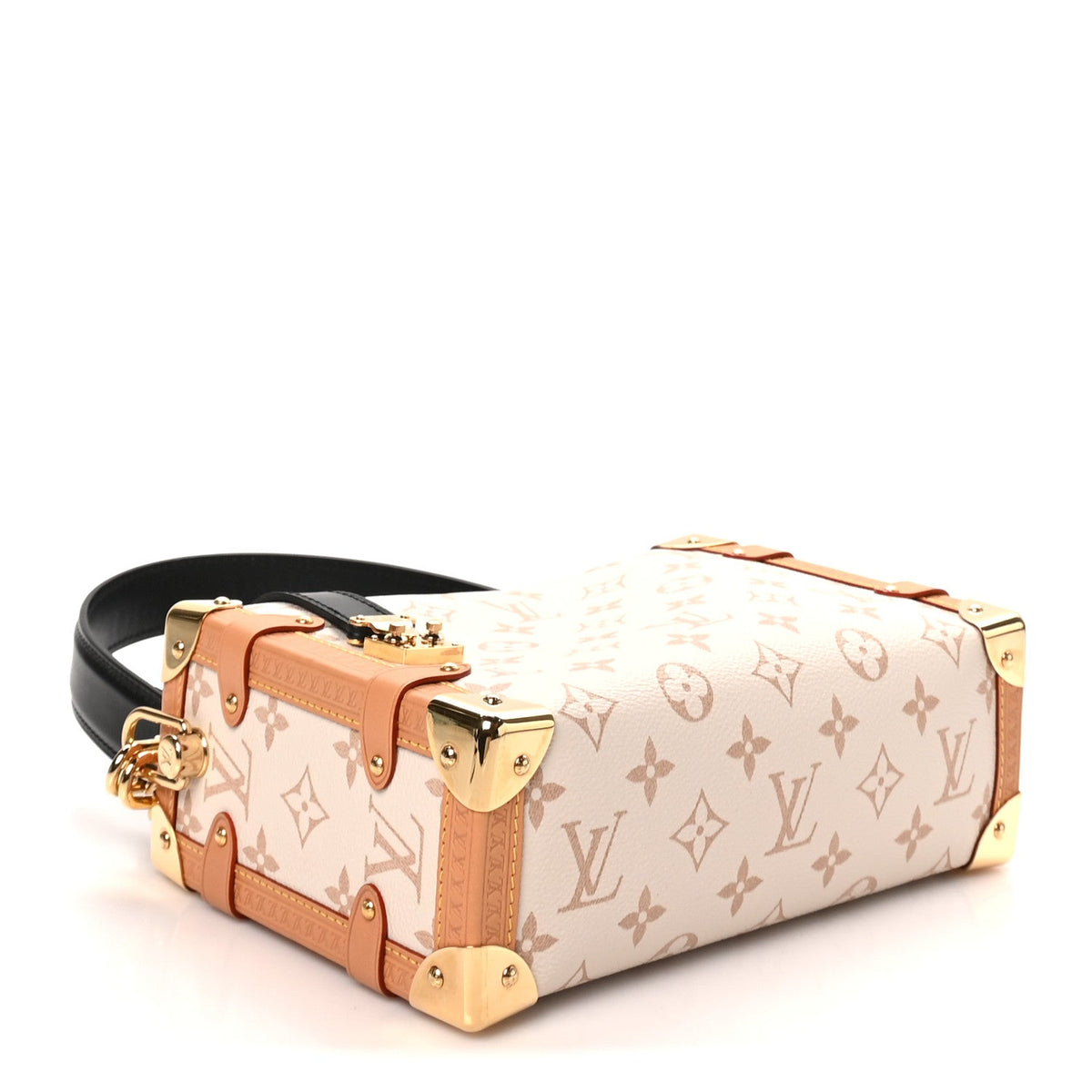 Monogram Dune Side Trunk