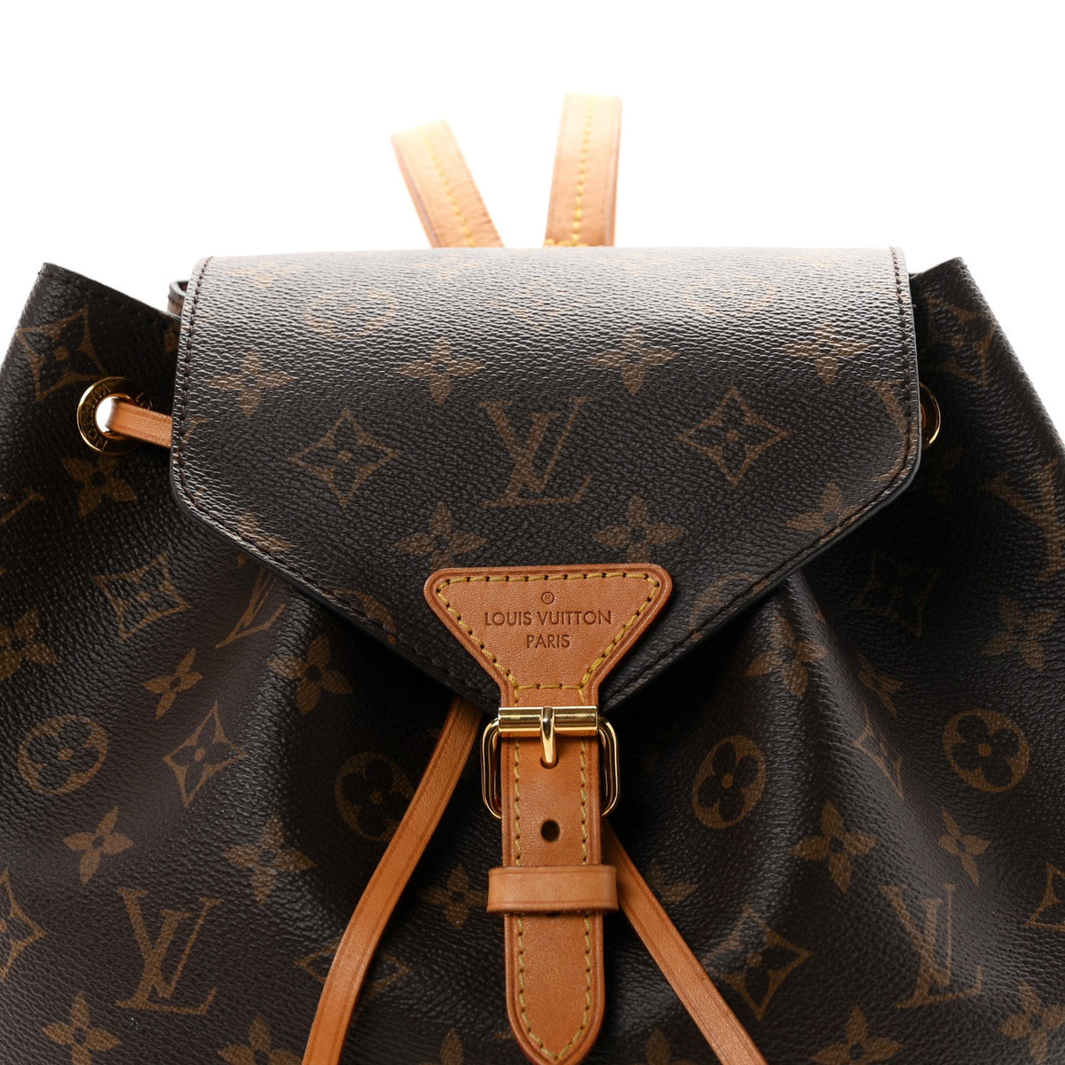 Monogram Montsouris NM Backpack