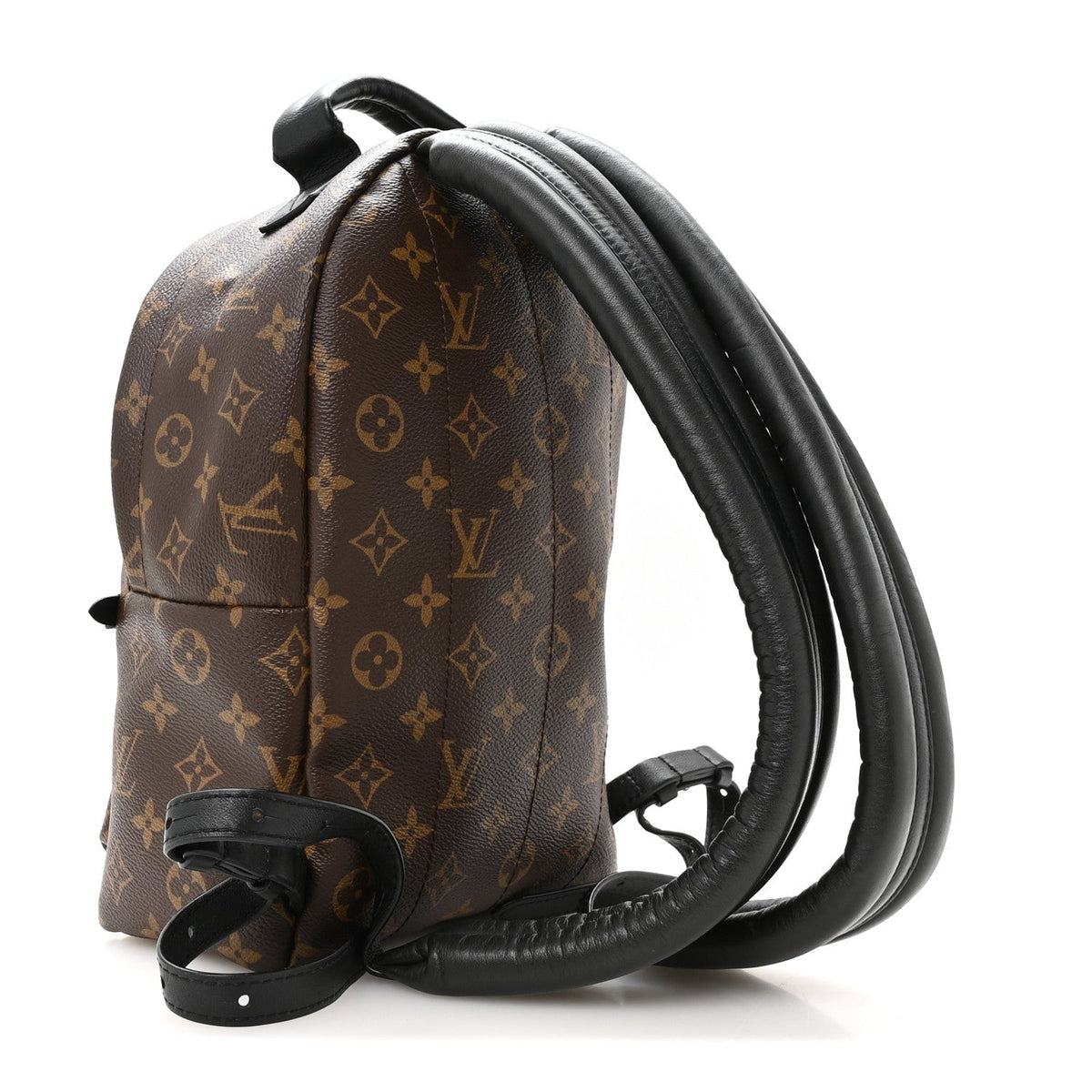 Monogram Palm Springs Backpack PM