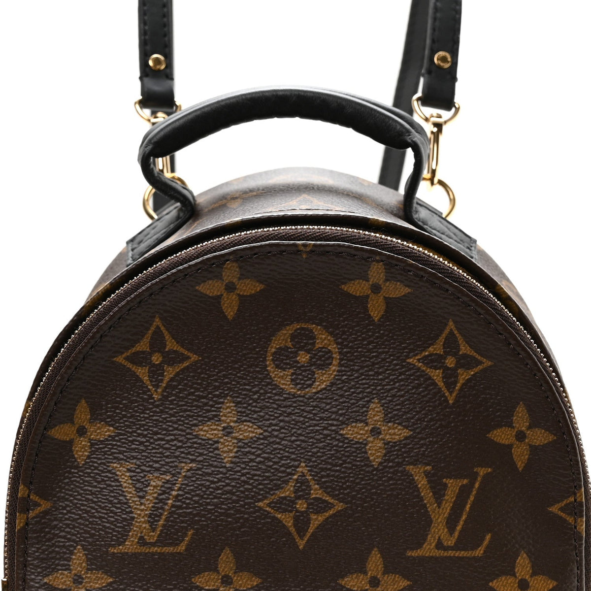 Monogram Palm Springs Backpack Mini