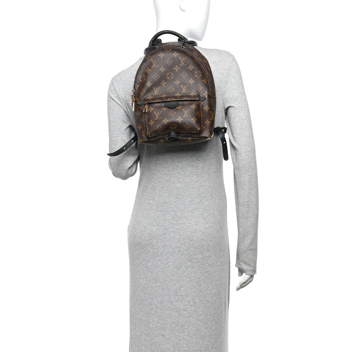 Monogram Palm Springs Backpack PM