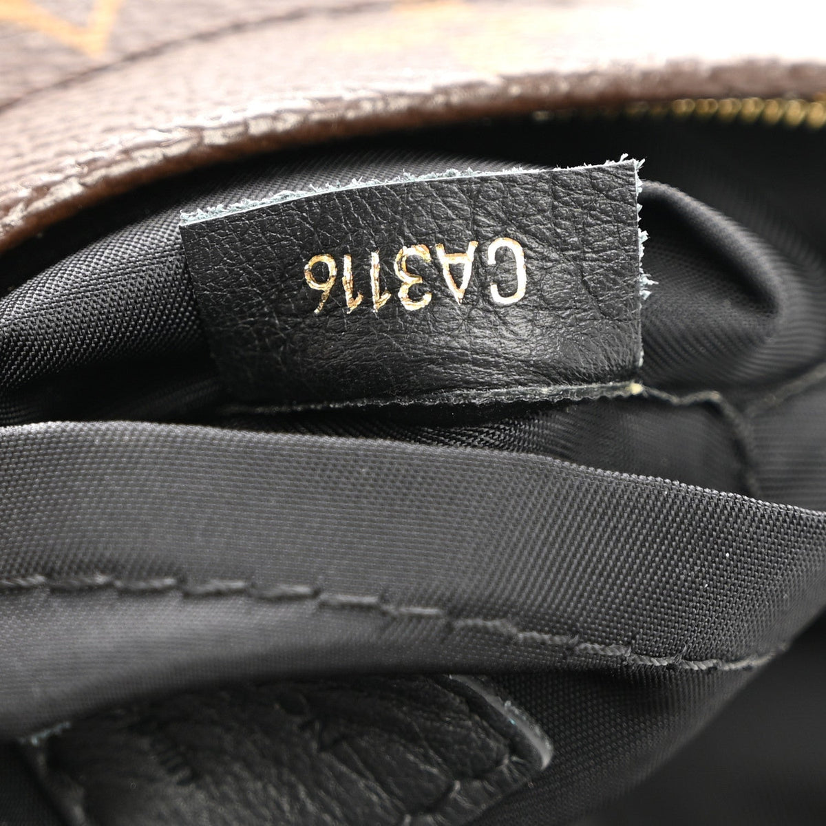Monogram Palm Springs Backpack Mini