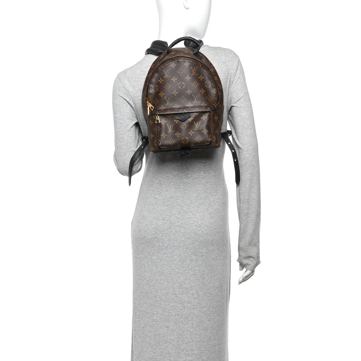 Monogram Palm Springs Backpack PM