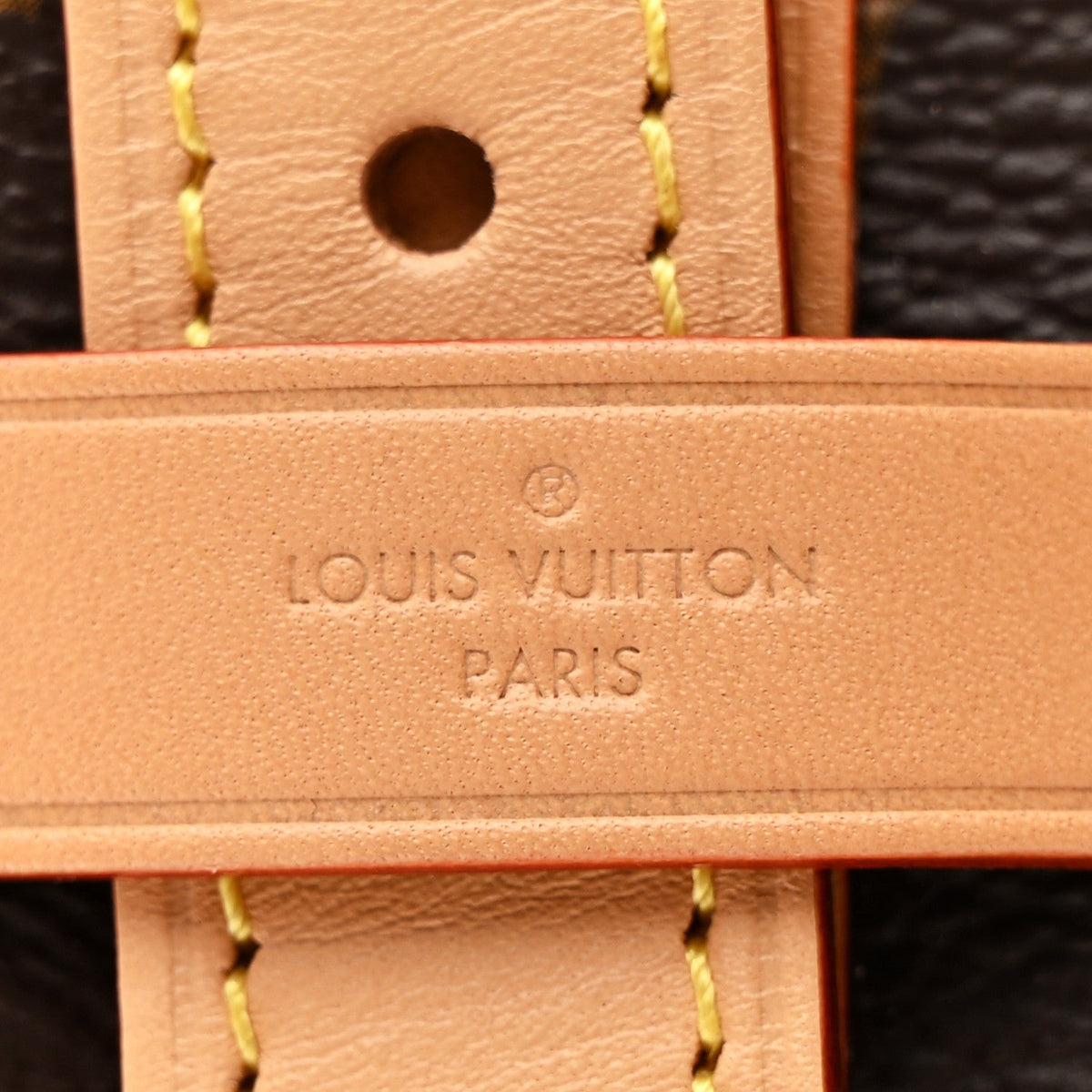 Monogram CarryAll MM