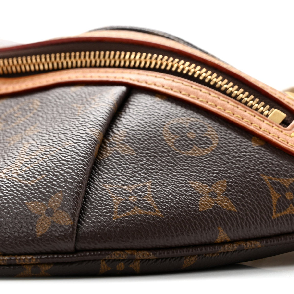Monogram High Rise Bumbag